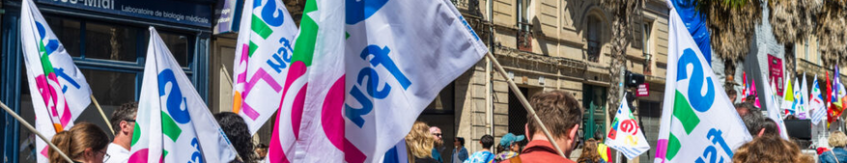 Plus de 80% de grèvistes le 28 mai - clg de Boigne et Combe de Savoie