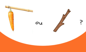 CAPA d'examen des recours de rendez-vous de carrière