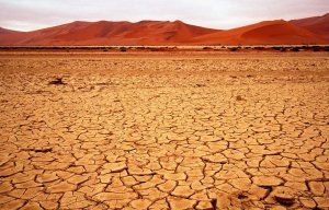 Le sacrifice de L'École ou la politique de la terre brûlée