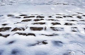 Sous la neige, les pavés ! Battre le pavé, dire NON, encore plus fort !