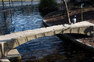 Les parcs et jardins