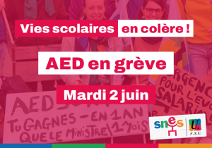 GREVE AED 2 JUIN - Appel à témoignages conditions de travail