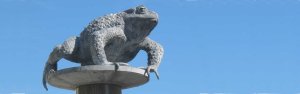 Et derrière la pensée complexe, quoi de neuf ? Rien, toujours le même (…)