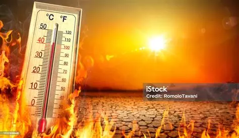 Canicule : le gouvernement se défausse de ses responsabilités : Agissons !